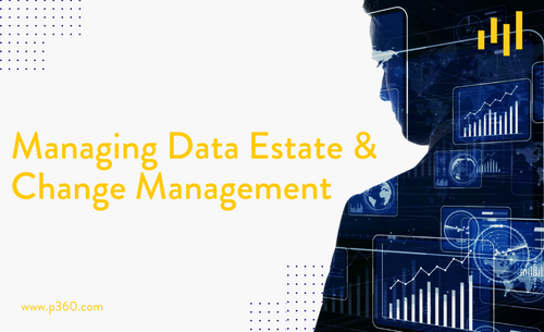 BirdzAI’s Master Data Management Module Provides a Modern Data Estate and Simplifies Change Management